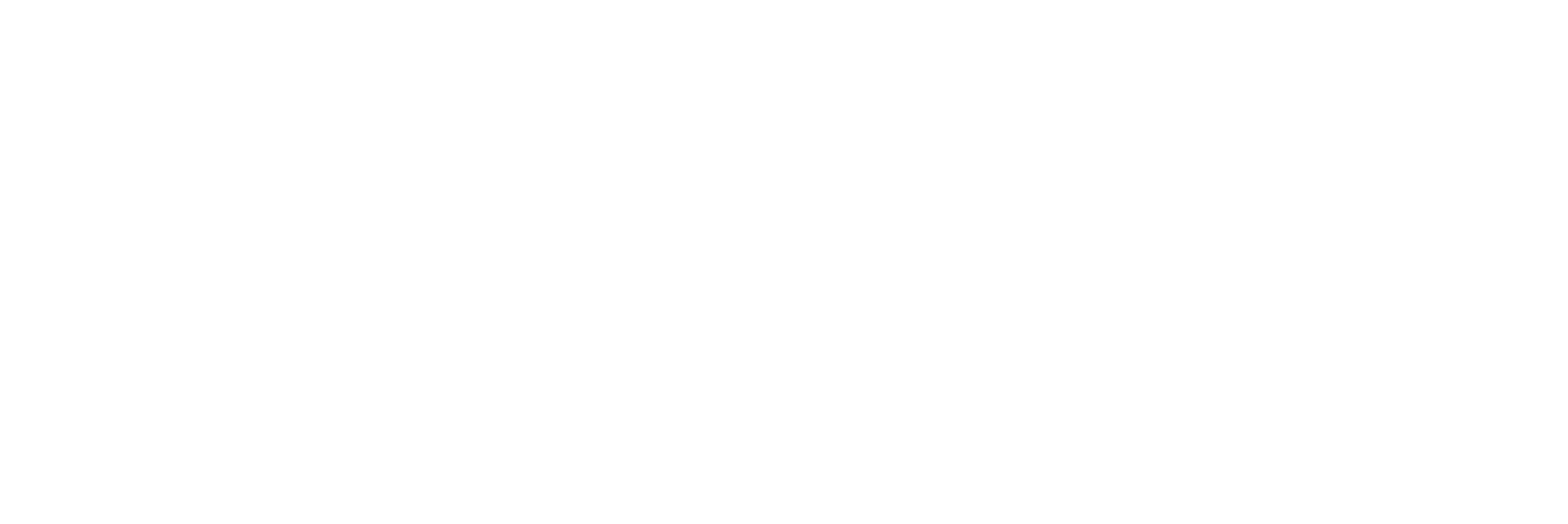 ELITE CS logo-white transparent LQ